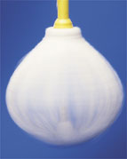 locmop 2001