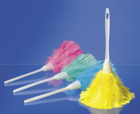 feather duster