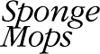 Sponge Mops